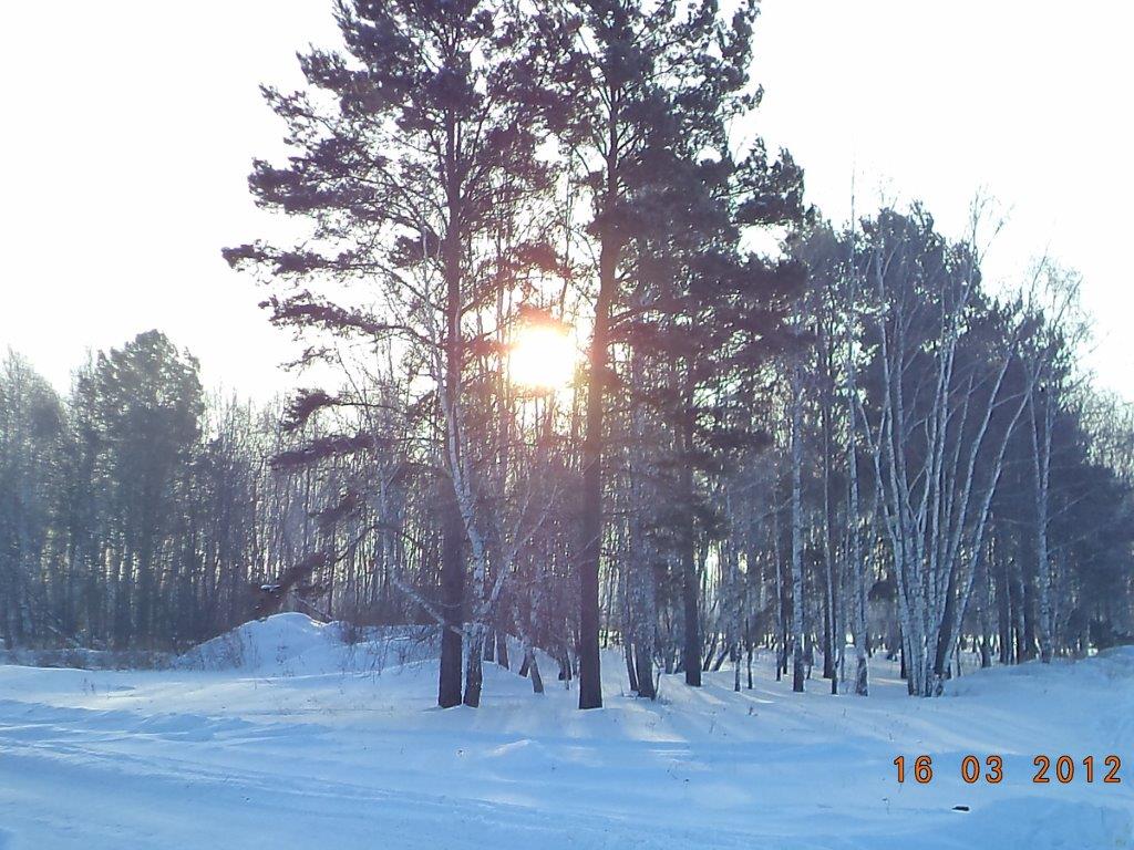 Фотографии.